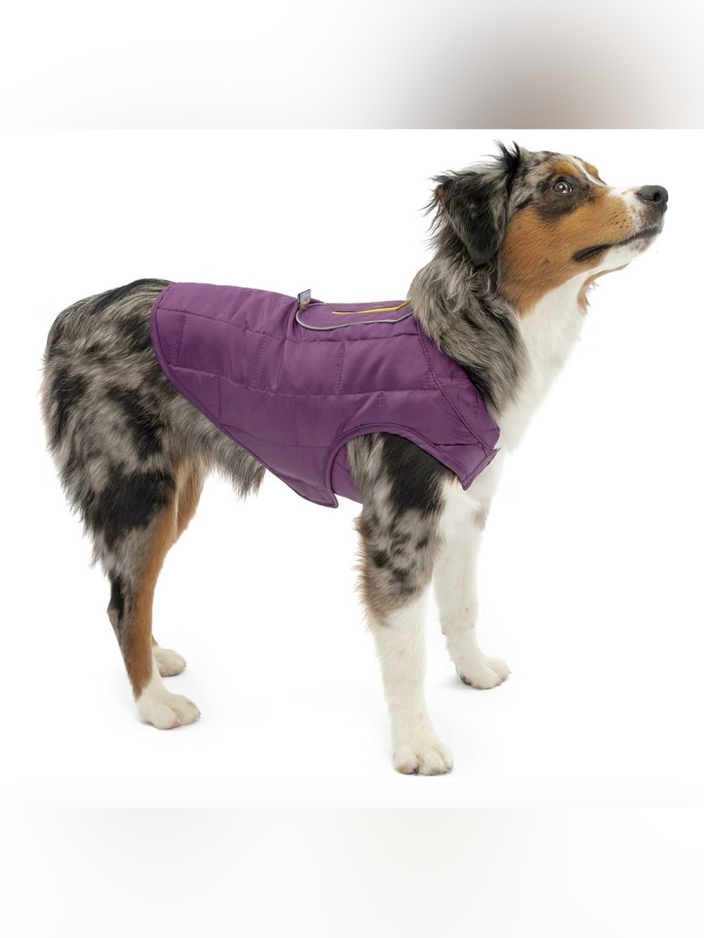 NWT Kurgo Loft Jacket, Reversible Dog Coat -XS